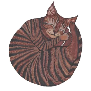 The Bonya Cat @sussserain