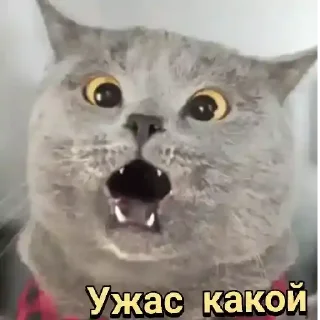 😱