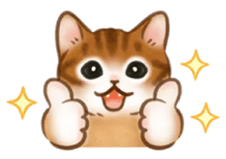 🐱