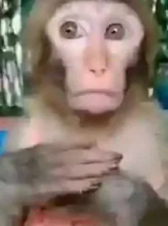 🥺
