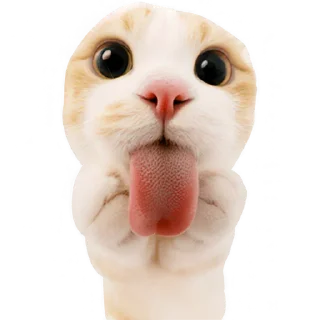 😛