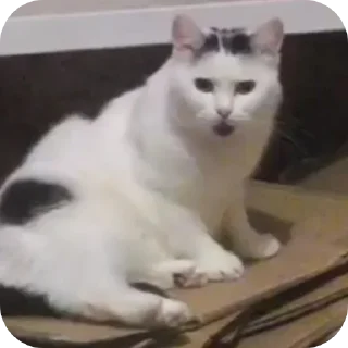 😐