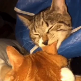 😡