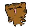 🐱