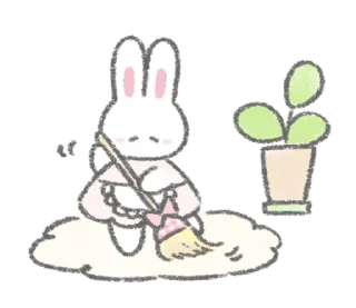 🐰