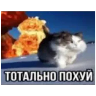 Жпираваಠಿ_ಠ