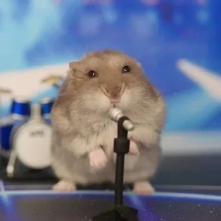 🎤