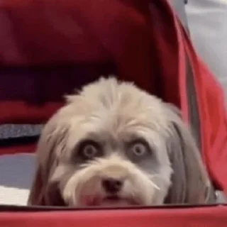 😠