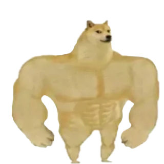 💪
