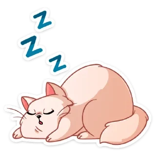 😴