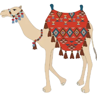 🐫