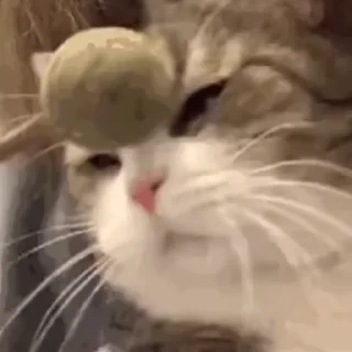 😮