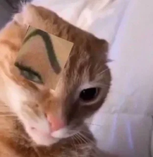 🤨