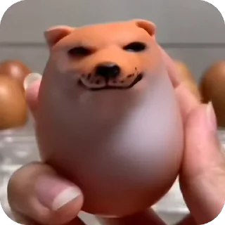 SHIBAKOOO
