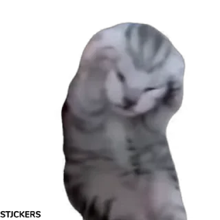 😩