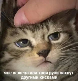 🤔