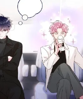 ✨