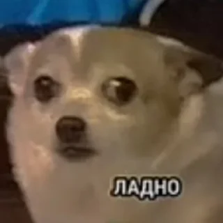 😐