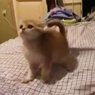 👹