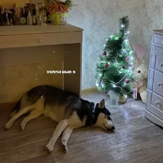 🎄