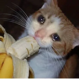 😭