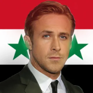 🇸🇾