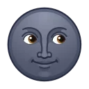 🌚