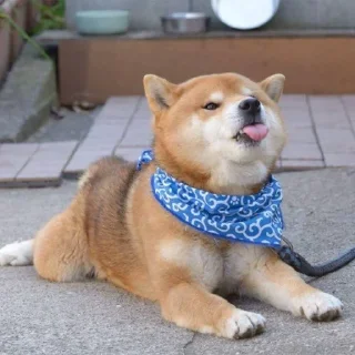 😛