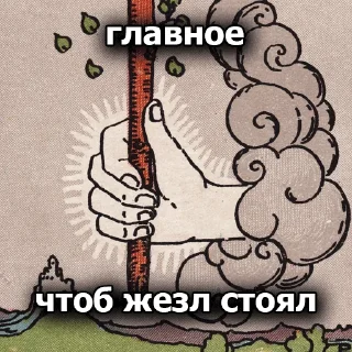 🍆