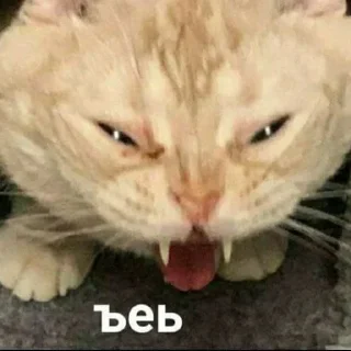😎
