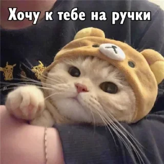 🤗