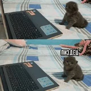 🤯