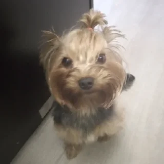 😐