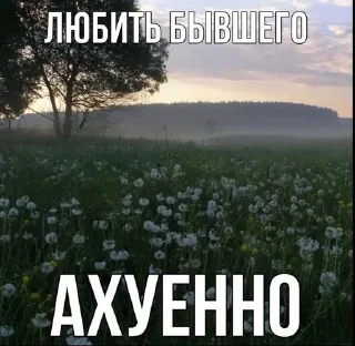 🧂