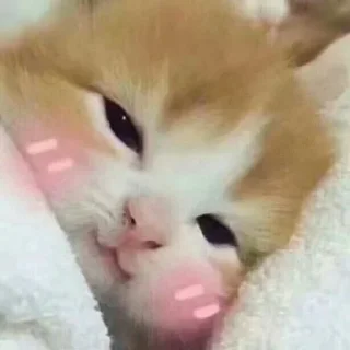 🥰
