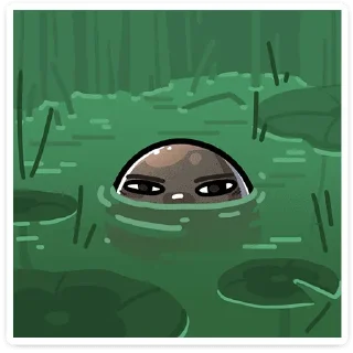 👀