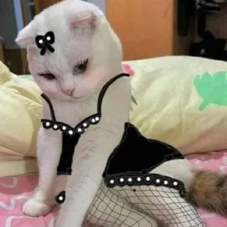 🤭