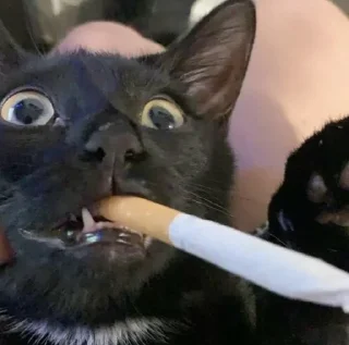 🚬