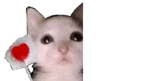 🐈