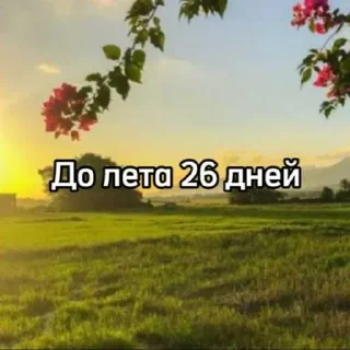 ☀️