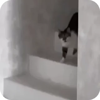 😧