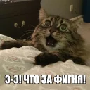 😺