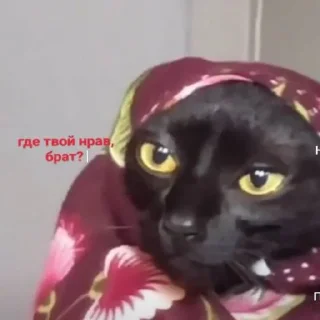 🤨