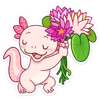 💐