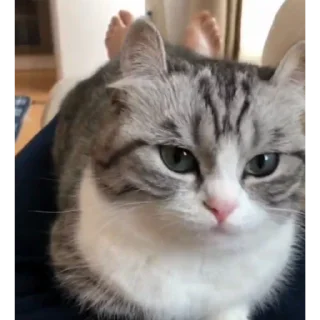 🥰