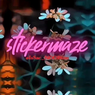 ✨