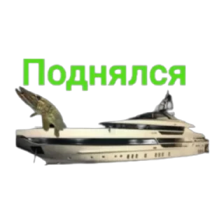 💰