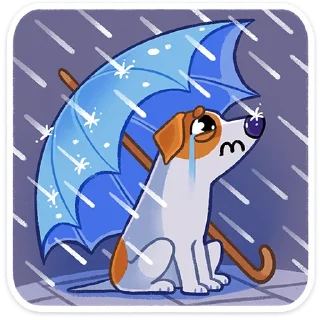 ☔️