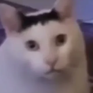 🤨