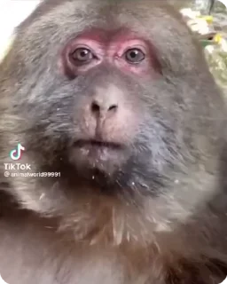 😋